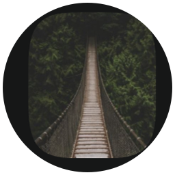 The Narrow Bridge